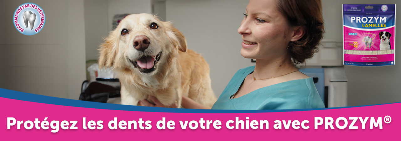 Prozym 3 - Protégez les dents de votre chien avec Prozym